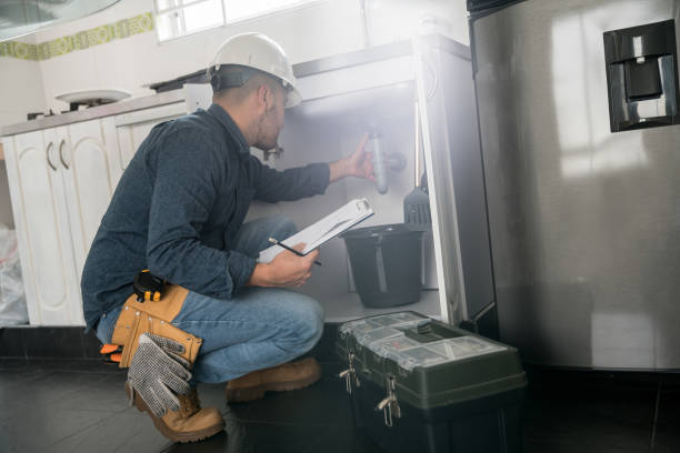 Best Affordable Plumbing Services  in Ladd, IL
