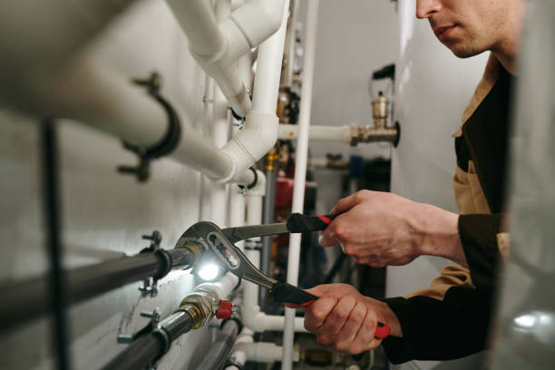 Best Best Plumbers Near Me  in Ladd, IL