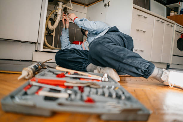 Best 24-Hour Plumber Near Me  in Ladd, IL