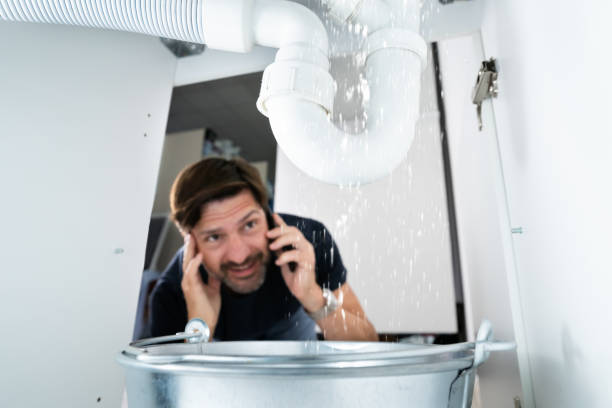 Shower Repair Services in Ladd, IL