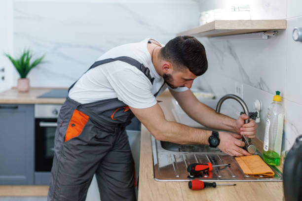 Best Emergency Plumber  in Ladd, IL