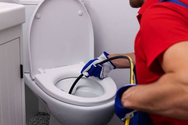 Best Plumbing Services Near Me  in Ladd, IL
