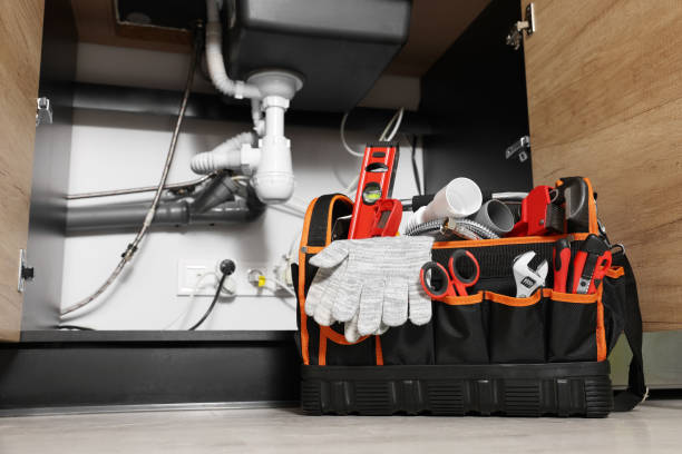 Best Best Plumbers Near Me  in Ladd, IL