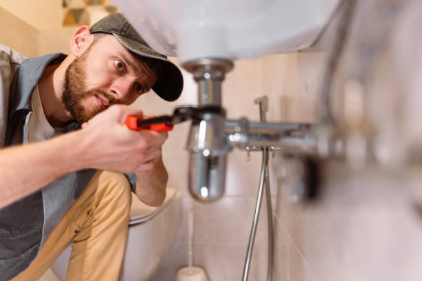 Best Sewer Line Repair  in Ladd, IL