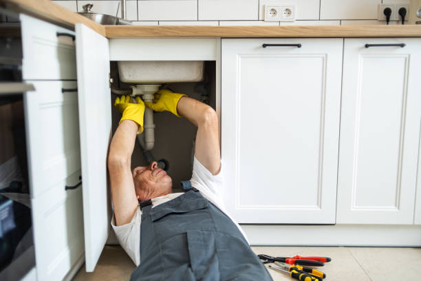 Best Local Plumber Services  in Ladd, IL