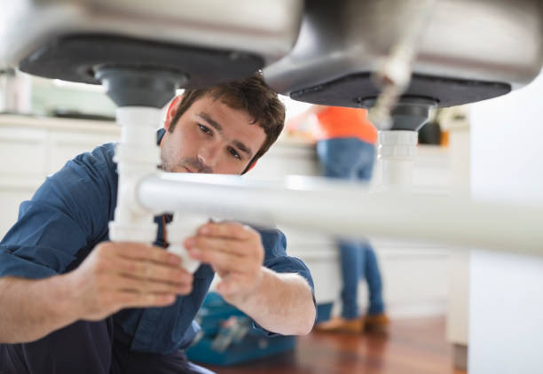 Best Plumbing Inspection Services  in Ladd, IL