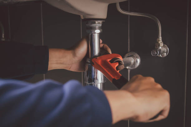 Best Septic Systems  in Ladd, IL