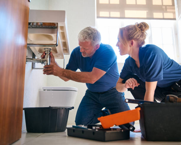 Best Shower Repair Services  in Ladd, IL
