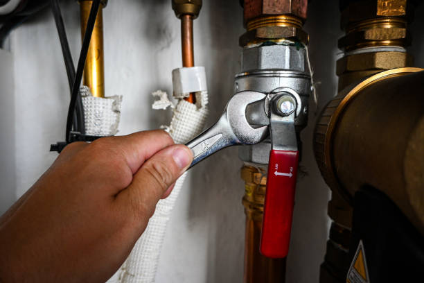 Best Water Heater Repair  in Ladd, IL